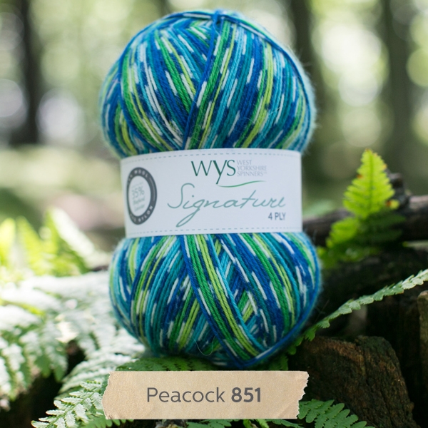 Signature 4 Ply Peacock 851